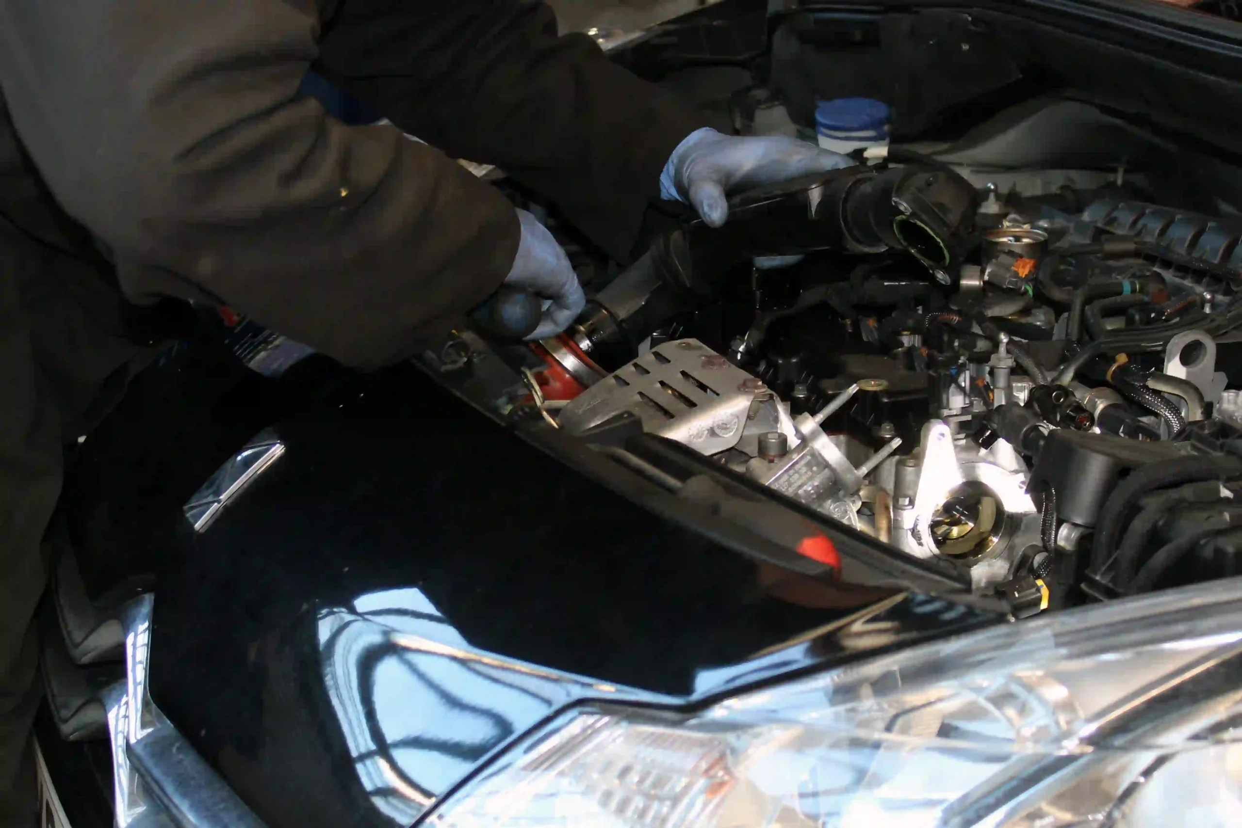 Citroen DS3 timing belt replacement at Cedar Garage