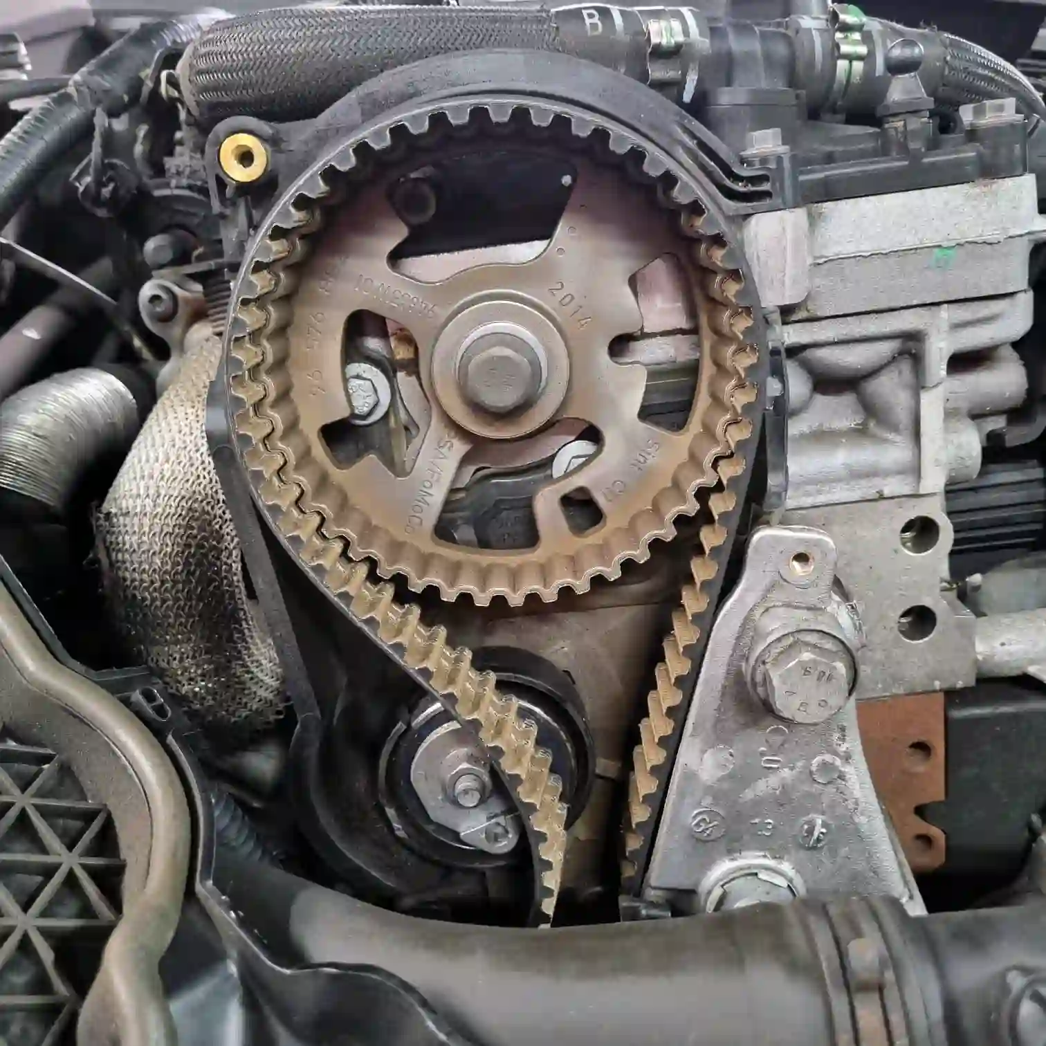Jaguar Repairs Garage Worthing Jaguar engine timing chain during a repair