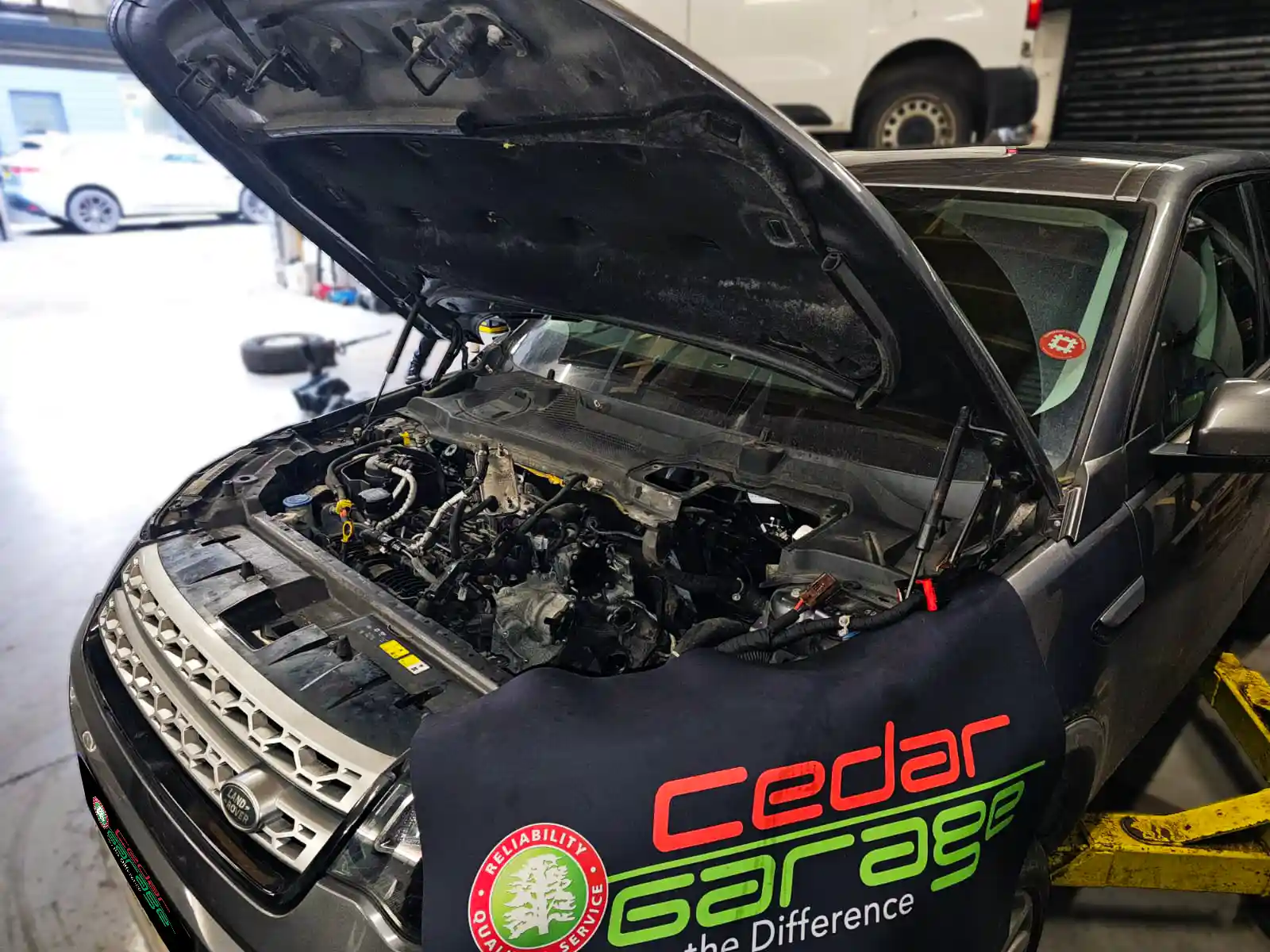 Land Rover Ingenium timing chain replacement at Cedar Garage