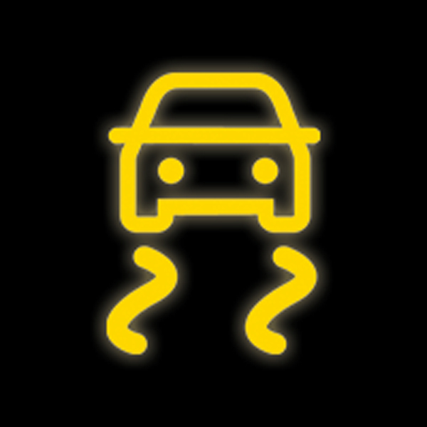 BMW DSC (Dynamic Stability Control) warning light symbol
