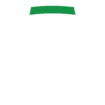 Car windscreen check icon