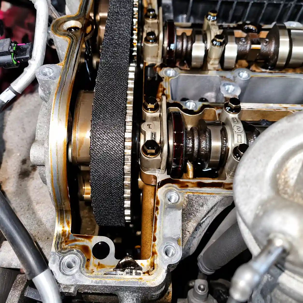 Ford EcoBoost wet belt replacement at Cedar Garage