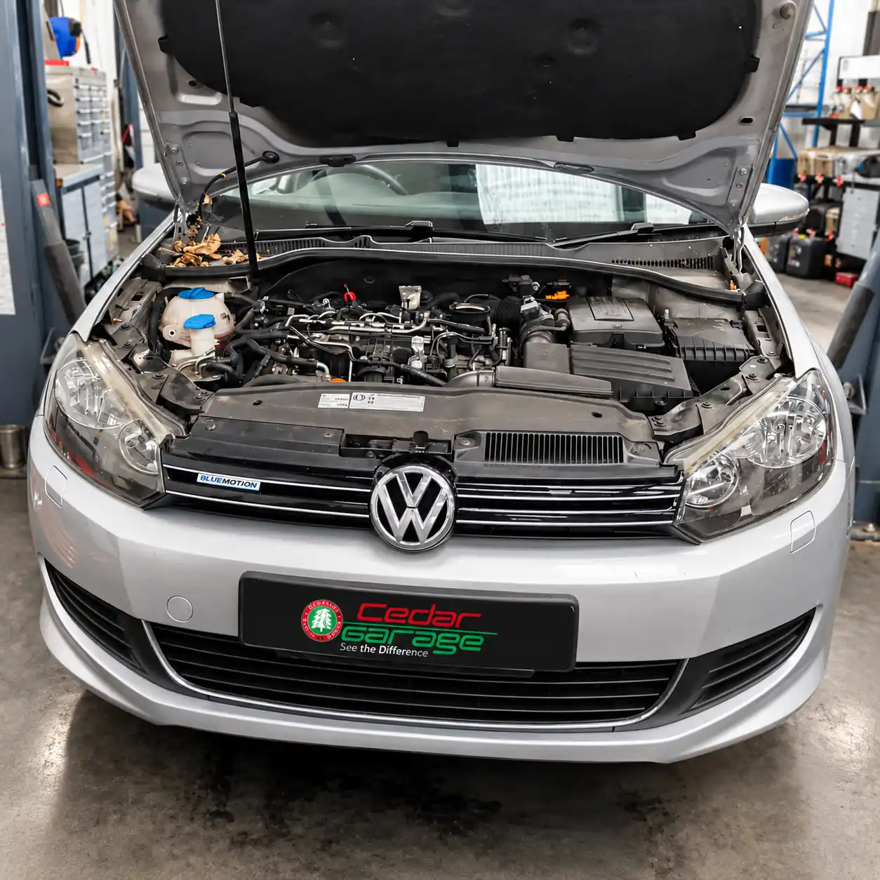 Golf S Cambelt and Water Pump Replacement at Cedar Garage