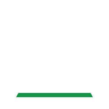 Vehicle electrics test icon